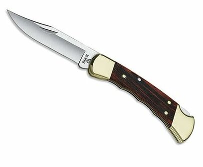 Buck 110 Folding Hunter