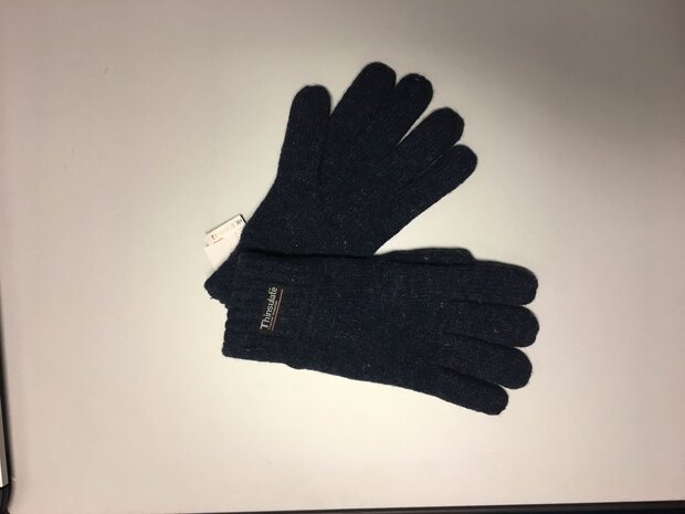 Handschoenen Fostex Thinsulate Thermal Insulation